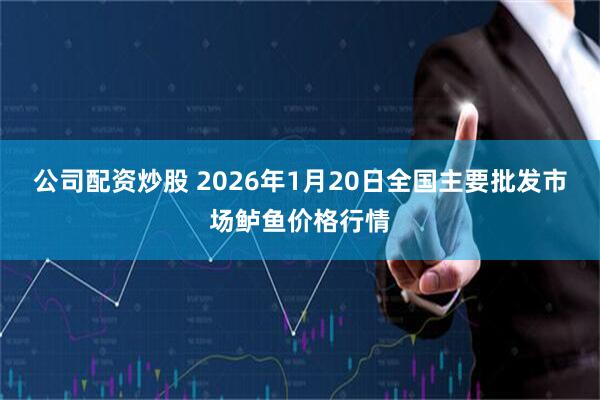 公司配资炒股 2026年1月20日全国主要批发市场鲈鱼价格行情