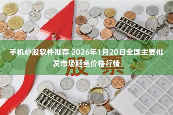 手机炒股软件推荐 2026年1月20日全国主要批发市场鮰鱼价格行情