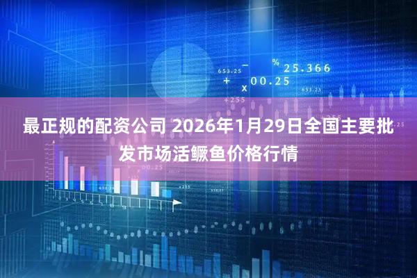 最正规的配资公司 2026年1月29日全国主要批发市场活鳜鱼价格行情