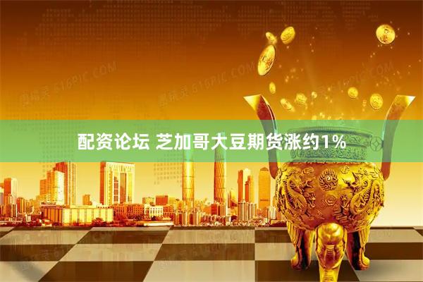 配资论坛 芝加哥大豆期货涨约1%